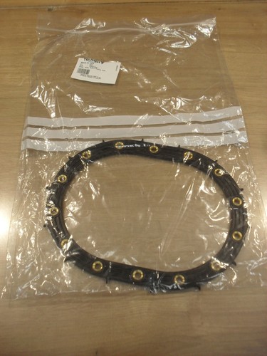Triumph speedmaster efi - triumph,