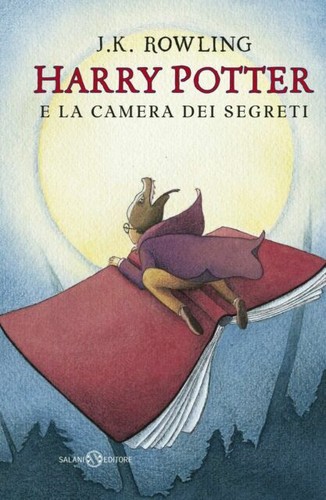 Harry potter camera dei - harry,