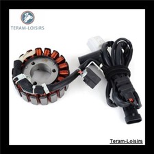 Stator pour Malaguti Madison