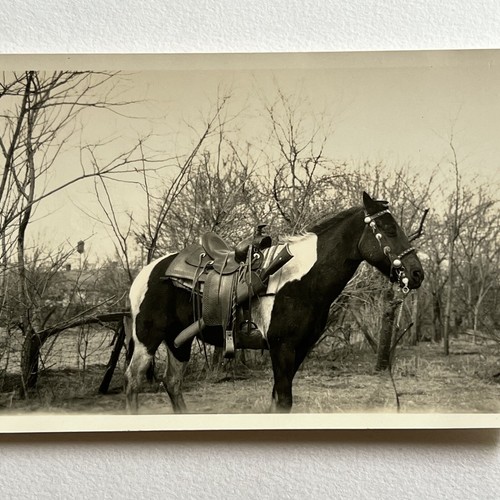 Fotografia istantanea vintage