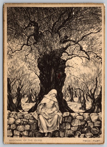 Madonna degli ulivi agnes - degli, tait