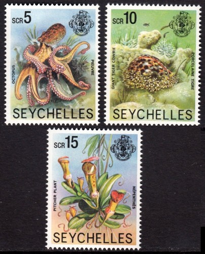 Seychelles 2024 fiori - 2024,