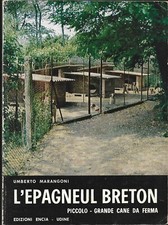 Marangoni epagneul breton - marangoni,