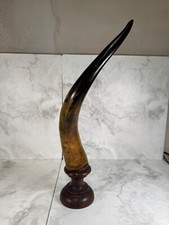 Corno Naturale da Esposizione con Base in Legno – Arredo Rustico Unico