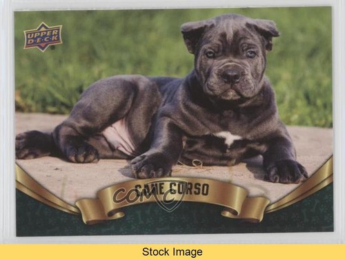 Upper deck collezione canine - deck,