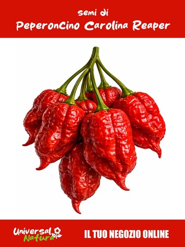 Semi di - 🌶️,
