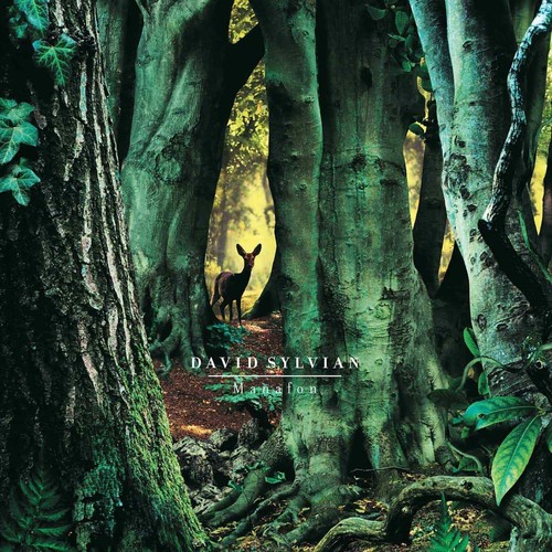 David sylvian manafon - sylvian,