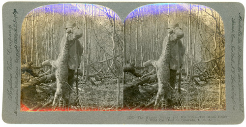 Stereo usa colorado a wild - stereo,,