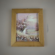 Nº2 quadretti olio su tela Con Cornice