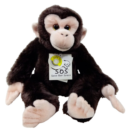 Scimmia scimpanze baby 25 - baby,