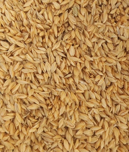 Pula farro per riempire - pula, di