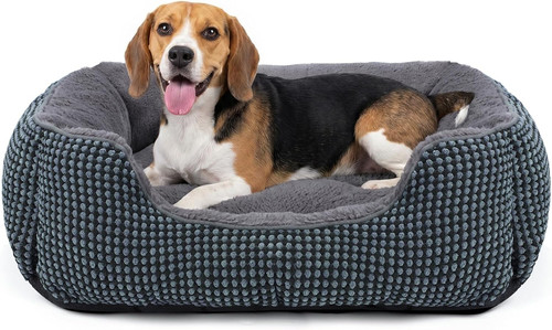 Cuccia cane interno - cuccia,