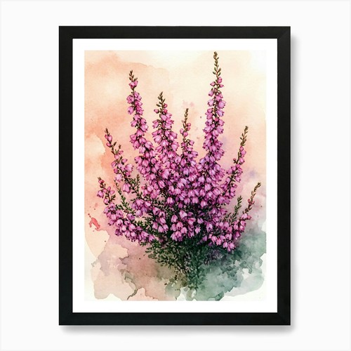 Quadro acquerello fiori arte - acquerello,