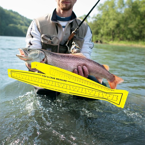 Misuratore pesca 31 - misuratore,