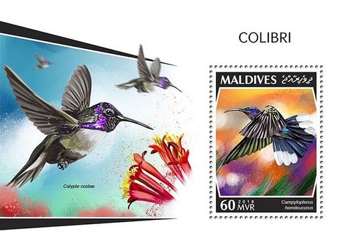 Foglio francobolli colibrì - francobolli,