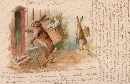 1901 buona pasqua - buona, conigli