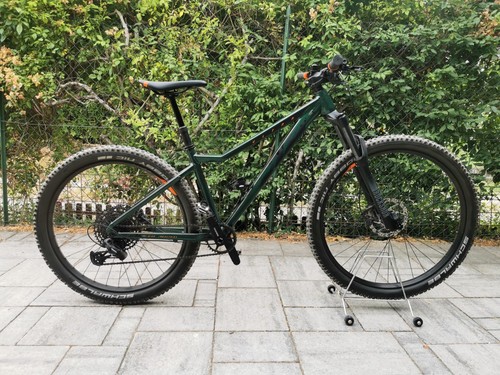 Mountain bike - mountain,