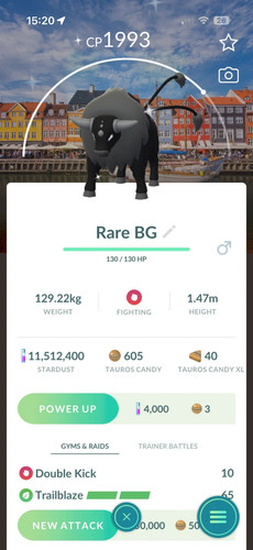 Pokémon shiny tauros - pokémon,