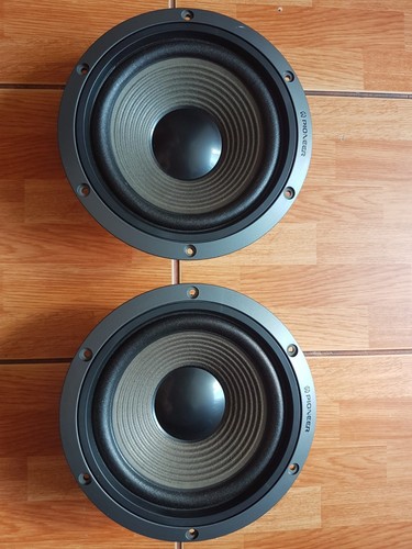 Pioneer woofer r20ec67 51e - woofer, r20ec67-51e