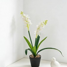 Giacinto artificiale - giacinto,