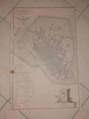 Carta geografica pianta - geografica,