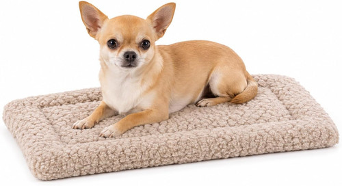 Cuccia cane interno - cuccia,
