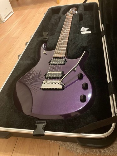 Custodia rigida ernie ball - custodia,