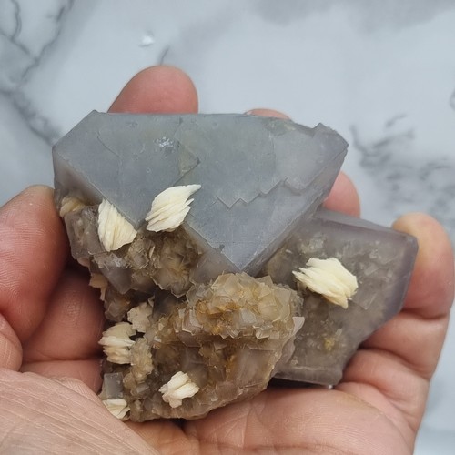 Minerali fluorite con - minerali◇fluorite,