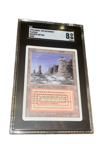 Mtg revisionato plateau dual - mtg,