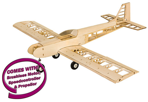 Dancing wings plane low - wings, rc
