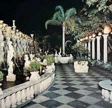 Cartolina anni 80 Kapor Tree