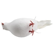 Colombe volanti bianche