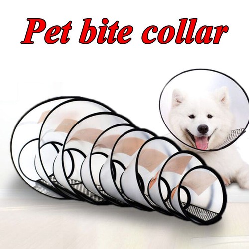 Collare protettivo per animali - collare,
