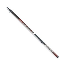 Canna trota torrente - trota, con
