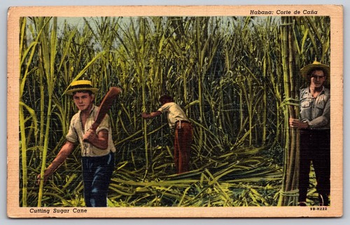 Cartolina epoca raccolta - cartolina,