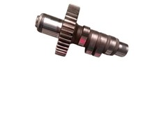 camma motore engine cams