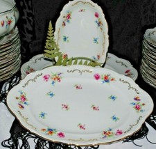 VINTAGE MITTERTEICH BAVARIA ROSELLA SERVIZIO PIATTO OVALE PIATTO DA PORTATA MEISSEN 