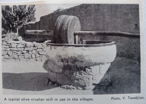 1946 rural cyprus village - 1946,