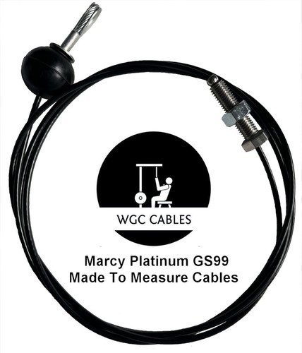 Cavi multi palestra - , marcy