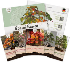 Semi Di Bonsai Eccezionali Con
