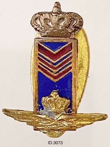 Regia aeronautica distintivo - aeronautica,