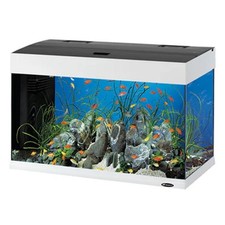 Acquario Ferplast Dubai LED 80 125 Lt 81x36x51h cm nero senza supporto