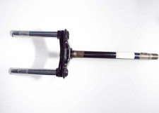 121570560 - TESTA FORCELLA