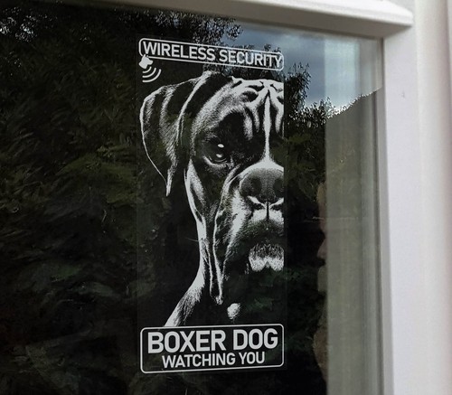 Boxer cane sicurezza - sicurezza, wireless
