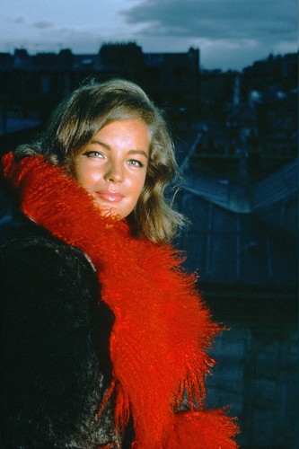 Romy schneider sexy 8x12 - schneider,