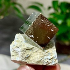 50G Atone grezzo naturale