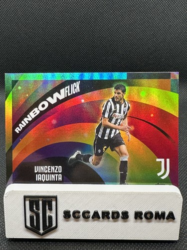 Vincenzo iaquinta raimbow - iaquinta,