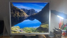 Monitor LCD TFT ACER AL1716s