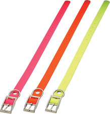 Collare Cane Da Caccia PVC ARANGE BIOTHANE BETA 2.5 X 60 Cm Flessibile/Resistent