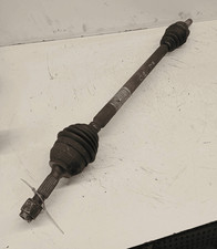 9640127680 Semialbero ant